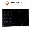 Photo Usine Phoenix (43).webp