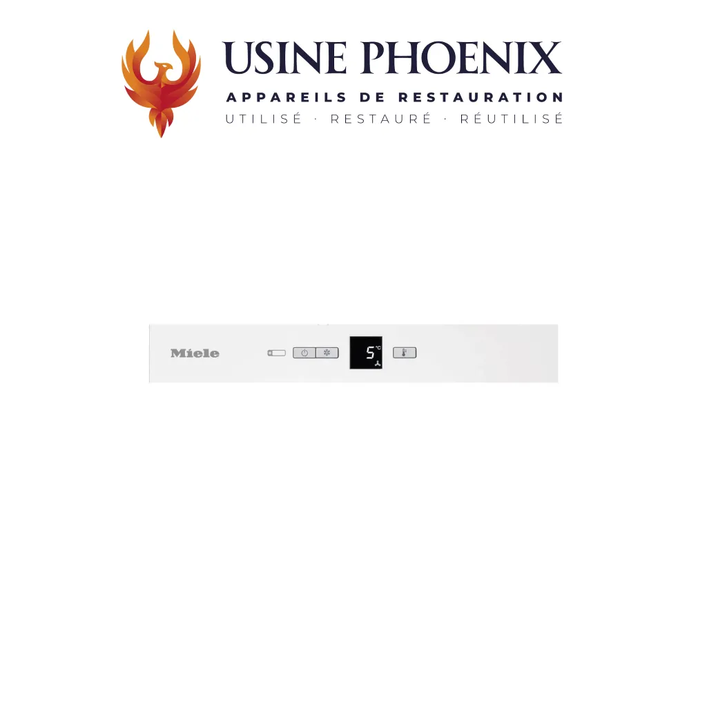 Photo Usine Phoenix (2).webp